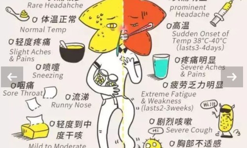 钻石风中药-钻石风的药用价值网-分享钻石风草药图片长什么样子，钻石风草药图片长什么样子知识库