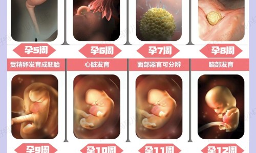 钻石风的药用价值网-分享钻石风草药图片长什么样子，钻石风草药图片长什么样子知识库